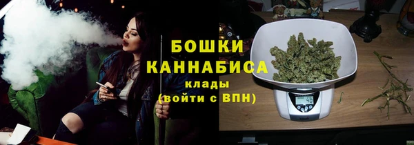 PSILOCYBIN Сосновоборск