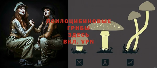 бошки Баксан